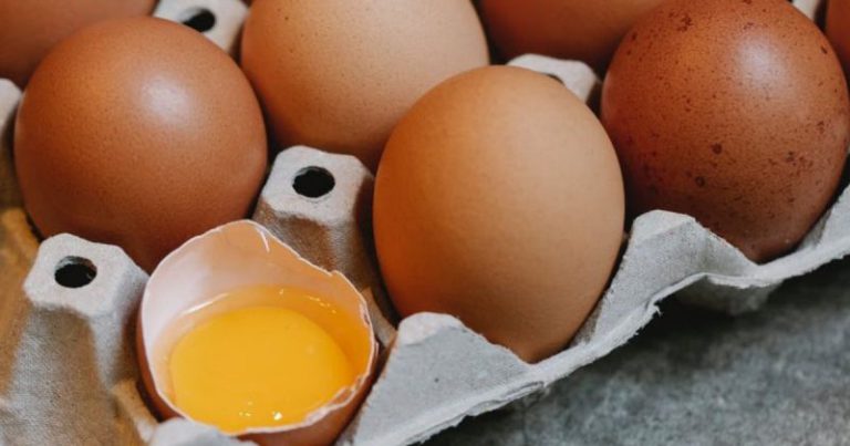 Bahaya Makan Telur Rosak Boleh Sebabkan Kematian, Ini Tanda-Tanda Perlu Tahu Elak Terbeli! Bahaya Makan Telur Rosak Boleh Sebabkan Kematian, Ini Tanda-Tanda Perlu Tahu Elak Terbeli!