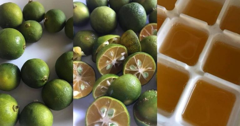 Petua Awet Muda & Hilang Kedut Tanpa Modal Besar. Wanita Kongsi Minum Jus Limau Kasturi Tanpa Gula! Petua Awet Muda & Hilang Kedut Tanpa Modal Besar. Wanita Kongsi Minum Jus Limau Kasturi Tanpa Gula!