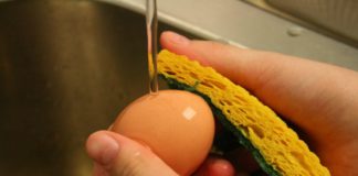 basuh telur