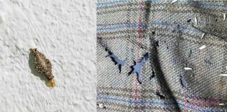 Cara Atasi Masalah Kamitetep