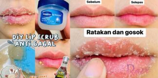 DIY Skrub Bibir