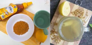 teh halba lemon madu