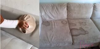 cuci sofa
