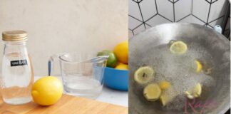 lemon hilangkan bau masak