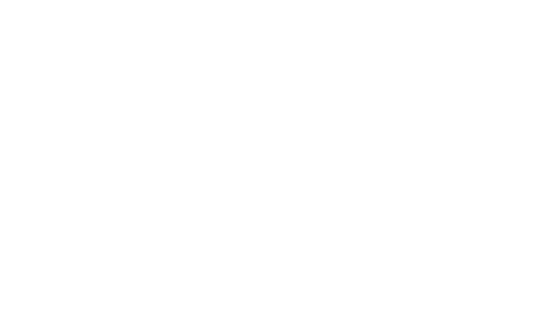 Rapi